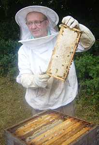 Delicious, high quality honey in jars and tubs